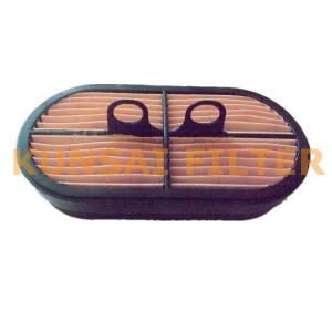 Air Filter P600975