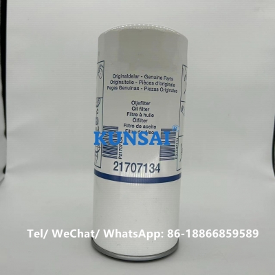 21707134 Oil Filter H200W10 466634 21939324 3134053 35310556 42546374 5001021129