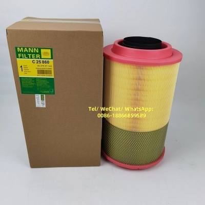 MANN Air Filter C25860