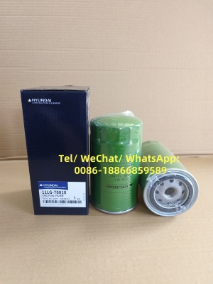 Excavator Fuel Filter 11LG-70010 11LG70010 Hyundai